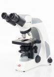  Panthera Compound Microscope Series Edu